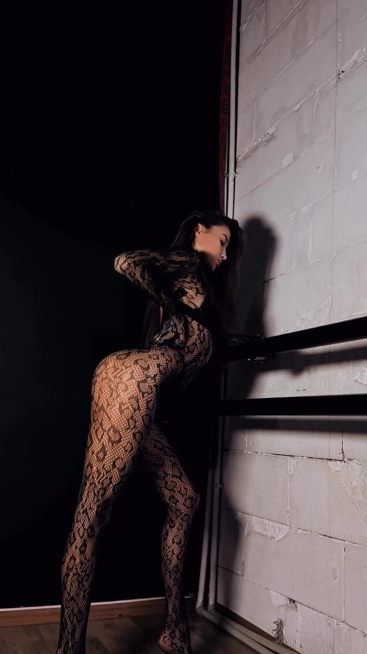 Bodystocking Leopard Pattern, Mesh bodysuit, Exotic Dance Wear, Sheer Catsuit